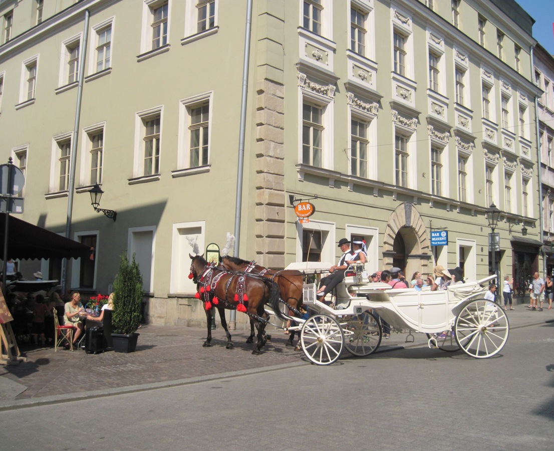 51-Cracovia-Carrozza con cavalli in giro per il centro